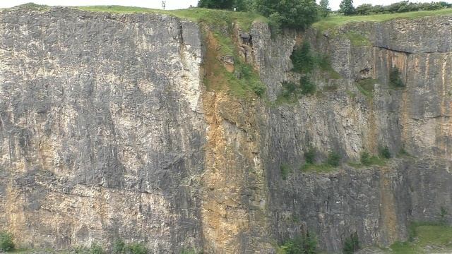PEREGRINE FALCON in Impressive QUARRY chases Pigeon - Falco peregrinus