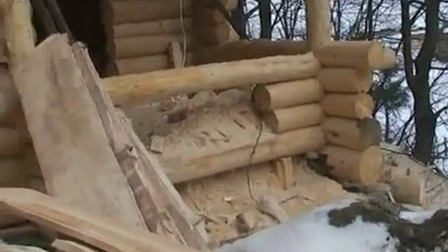 Архстройлес и тут выдедлился! смотреть онлайн