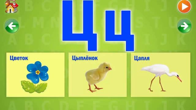АЗБУКА в Картинках для МАЛЫШЕЙ #2 | Учим БУКВЫ от О до Я смотреть онлайн