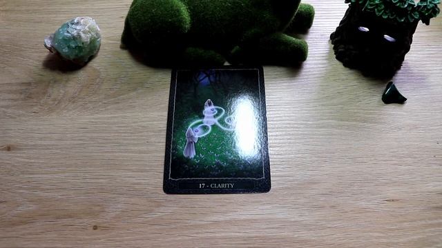 PICK A CARD MESSAGES FROM THE EARTH SPIRITS AND GREEN MAN - TIMELESS READING (TRIGGER WARNING) смотреть онлайн