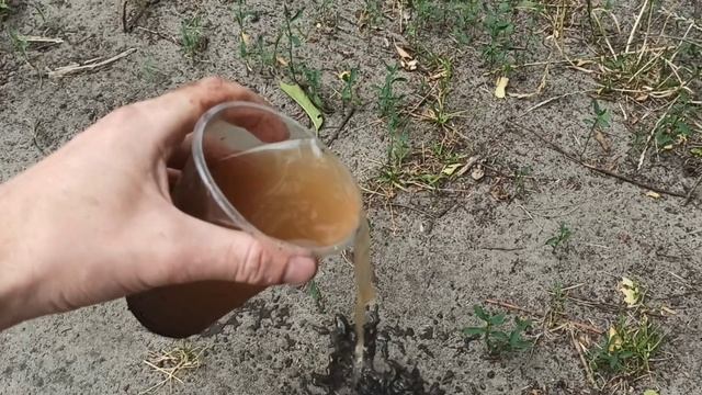 Ужаснулся от своих же патрубков смотреть онлайн