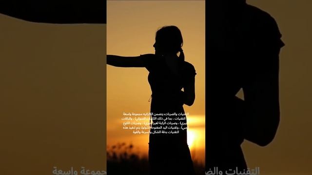 karate aikido styles Great Grand Master Mouaffak Arakili смотреть онлайн