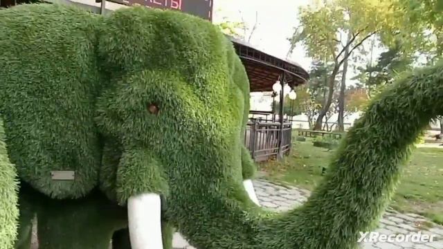 слон из мха в реальные жизни! смотреть онлайн