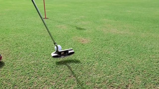 #Saipan Coral Ocean Point Golf Resort | COP Golf Course Ocean View On Every Hole | Saipan Island US смотреть онлайн