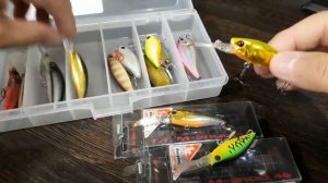 НА КРУПНУЮ РЫБУ - МЕЛКИЕ ДИПЫ! ВОБЛЕРЫ 2020 - воблеры на окуня, язя, голавля. Ловля щуки