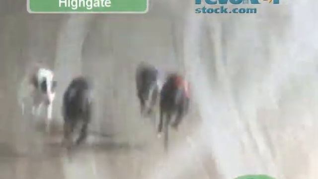 3 x Greyhound Races Night meeting - 3m40secs смотреть онлайн