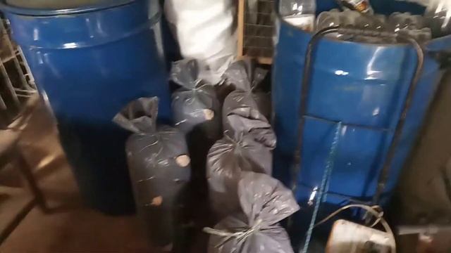 видео 2 грибы вешенки. смотреть онлайн