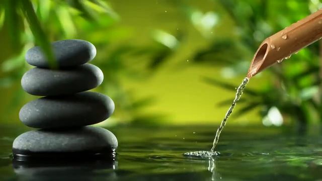 Как научиться стабильной медитации — Ринпоче. Как приблизится к состоянию божественного созерцания смотреть онлайн