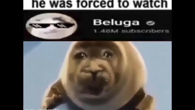 he was forced to watch beluga смотреть онлайн