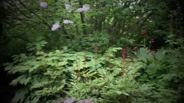 The Song Yard - Inger's Garden смотреть онлайн