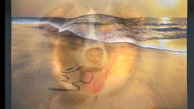'OM Shanti,Shanti, Shantihi' Mantra Meditation
