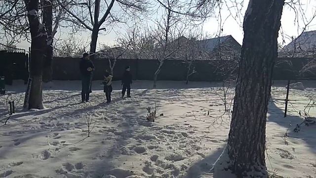 Мэйсан 8 месяцев американский бульдог смотреть онлайн