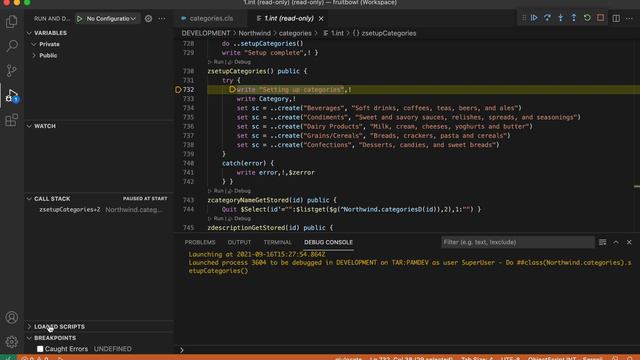Configurable break on error - Serenji 3.2 ObjectScript debugger for VS Code. смотреть онлайн