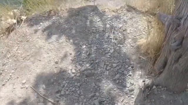 Абрау Дюрсо/Новороссийск/Лазаревское/ Джубга 2019