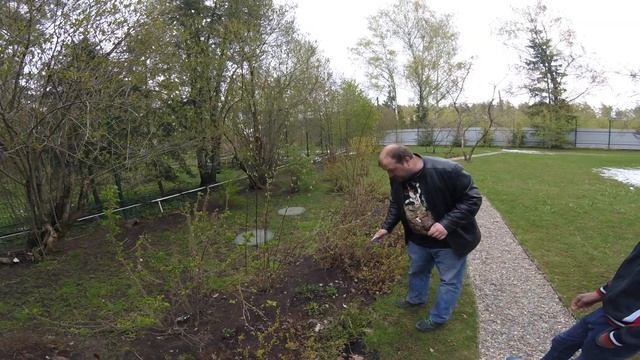 Часть 2. Обрезка Чубушник смотреть онлайн