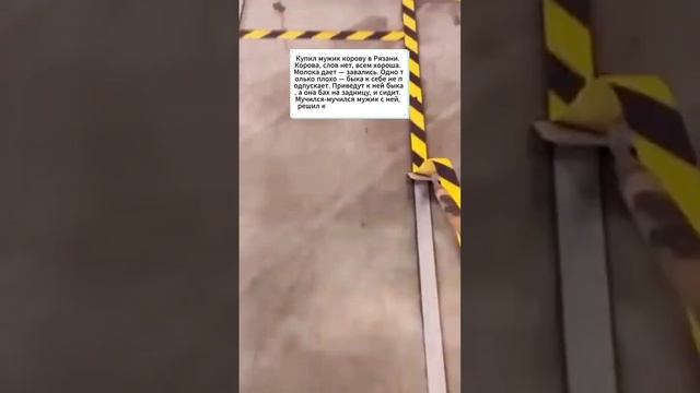 анекдот про корову #анекдот #анекдоты #мем #юмор смотреть онлайн