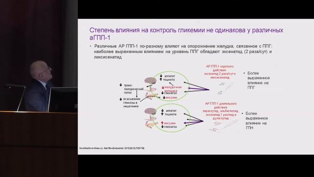 Мкртумян А.М., Сходства и отличия препаратов класса аГПП-1. смотреть онлайн