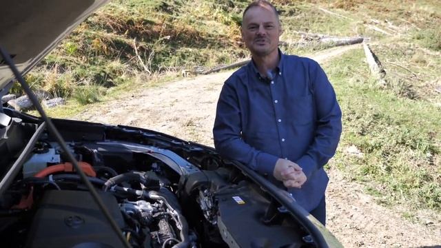 Обзор и вождение гибридной Toyota RAV4 2022 года смотреть онлайн