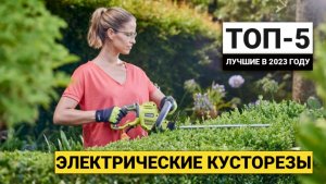 Рейтинг ТОП-5 электрических кусторезов | Лучшие в 2023 году