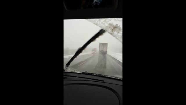 Лето будет и у нас. смотреть онлайн