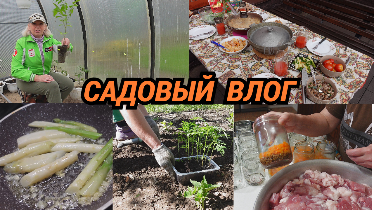 Влог/Зачем сажать томаты в ведра без дна/Обед в саду/Делаю каши и тушенку в автоклаве смотреть онлайн