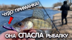 ЭТА ПРИМАНКА 100% ЛОВИТ СУДАКА и берша. Рыбалка на отводной поводок. Рыбалка на спиннинг весной.
