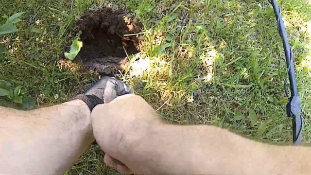 VANQUISH 440 \ Ванквиш 440   первый коп с новым аппаратом