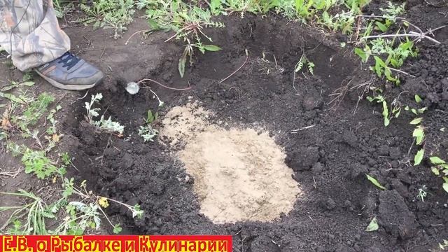 Как подготовить место для посадки саженца заранее.Как подготовить яму для посадки дерева. смотреть онлайн