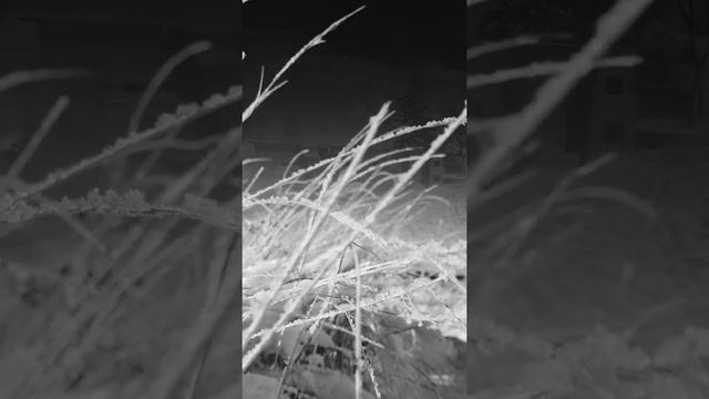 Мороз.А.Фет-С.Светлов смотреть онлайн