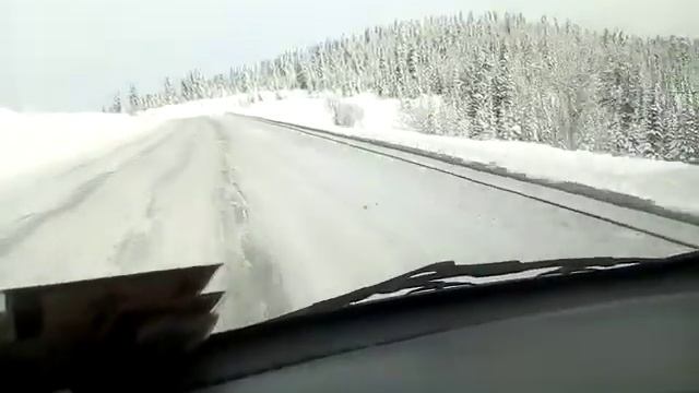 ергаки декабрь смотреть онлайн