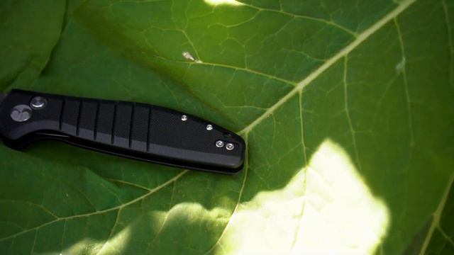 Китайский Goodboy. Нож от BESTECH