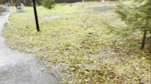 Экскурс прогулка в санатории СОСНОВЫЙ БОР Татарстан