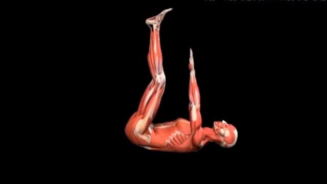 Подъем туловища с касанием пальцев ног лежа Bodyweight toe touch смотреть онлайн