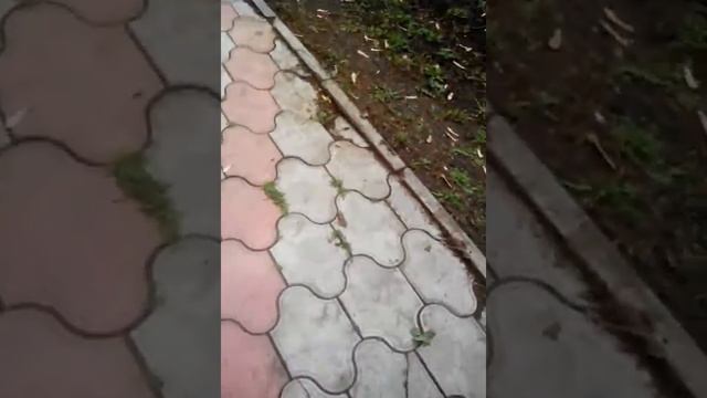 Олег смотреть онлайн