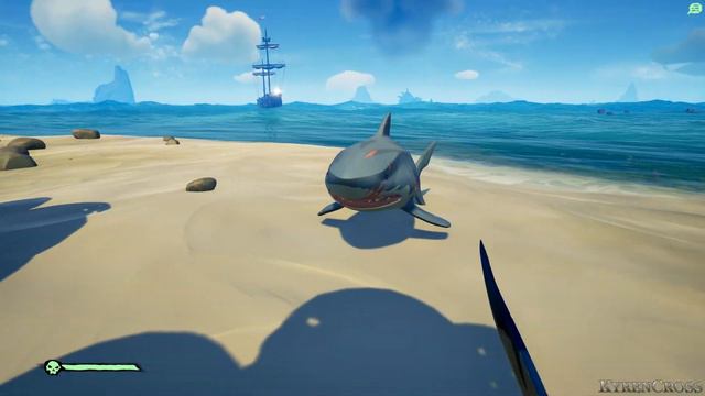 Sea of Thieves - Shark Surfing смотреть онлайн