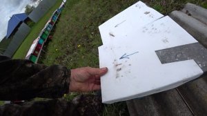 КАК ПРИНЯЛИ ПЧЁЛЫ МАТОК В НУКЛЕУСАХ И КАК СНОВА ПОДСАДИТЬ ГДЕ НЕТ МАТКИ..mp4