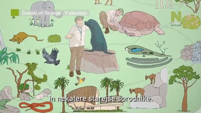 Inside Taronga Zoo Starts SLO 1 смотреть онлайн