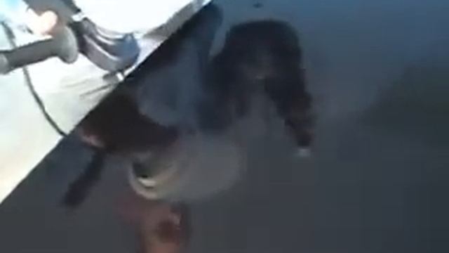 Кузовной ремонт инструментом FESTOOL,часть №7 - полир-ние смотреть онлайн