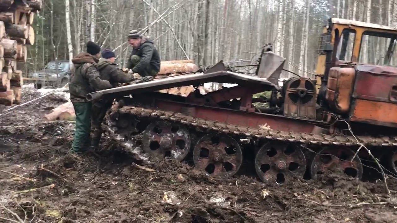 Один день Работы в лесу 2 смотреть онлайн