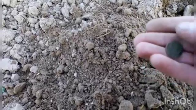 НАШЁЛ ДРЕВНИЙ ПЕРСТЕНЬ!!! смотреть онлайн