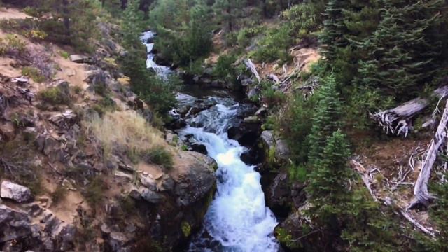 om mane padme hum buddha meditation relax travel trending sleep music love care spa music смотреть онлайн