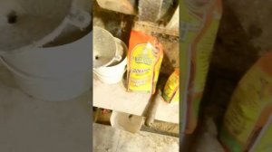 Мешанка для индюшат