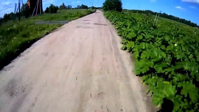 День моторспорта смотреть онлайн