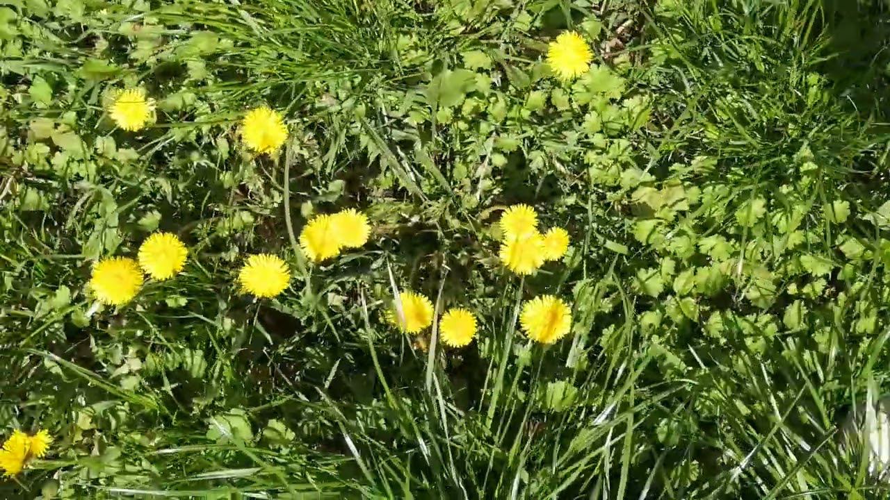 21 апреля 2023 смотреть онлайн