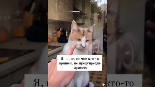 Это про меня .