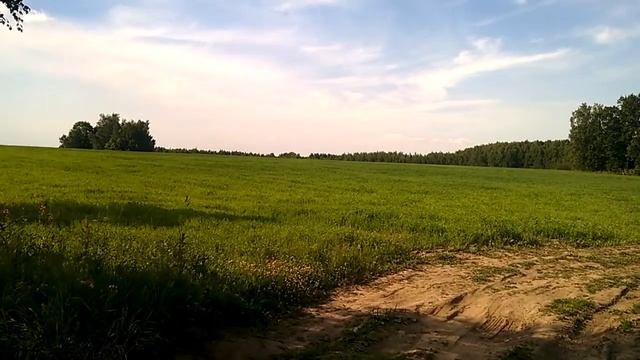 Самая высокая точка Рязанской области - на вершине Рязанской области - 8 ч из 12 смотреть онлайн