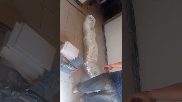 В Новосибирской области, строители поймали питона! смотреть онлайн