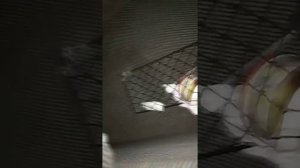 Обзор кабины Мерседес Атего MP2 со спальником