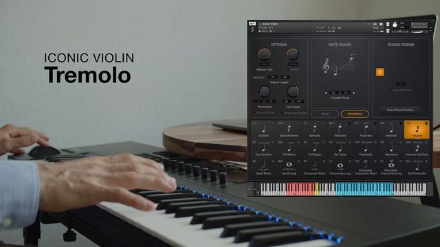 Iconic Violin — Sound Demo (no Talking)