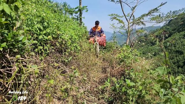 Dig Potatoes And Sell Them For Money To Buy More Chicks, Building Life, Episode 189